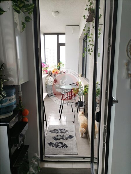 Cartier Latin | Apartament 3 camere | Decomandat | 87mp | B10938